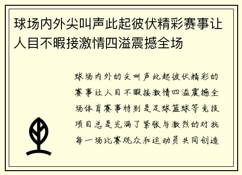 球场内外尖叫声此起彼伏精彩赛事让人目不暇接激情四溢震撼全场